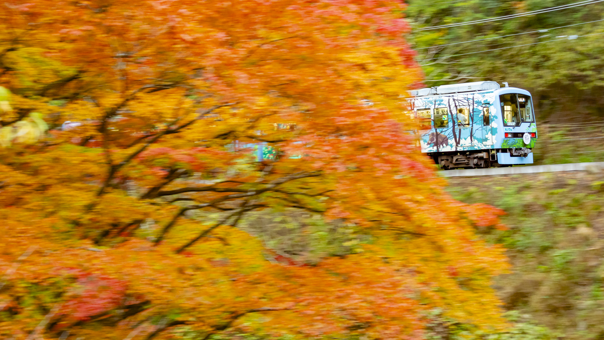 鉄道　撮影地　叡山電鉄　京都　紅葉