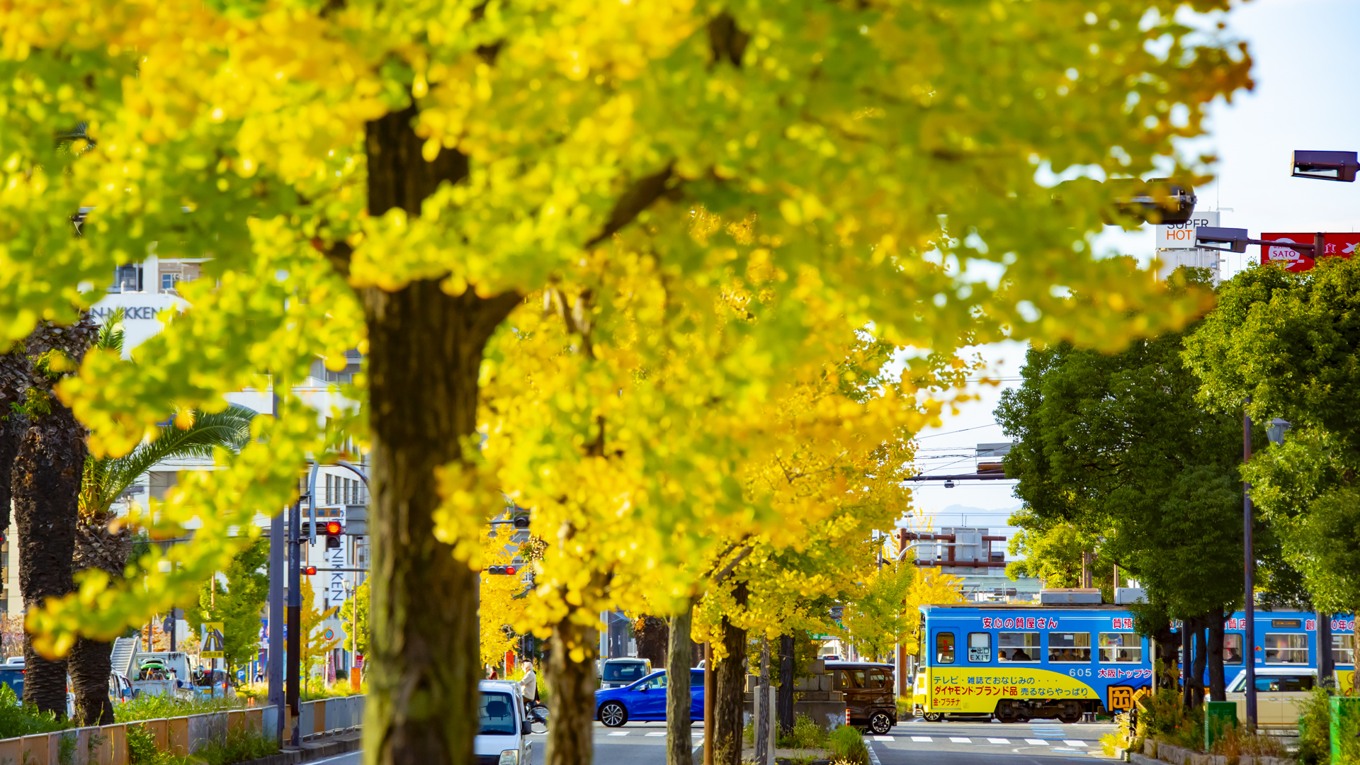 鉄道　撮影地　阪堺電車 大阪　堺